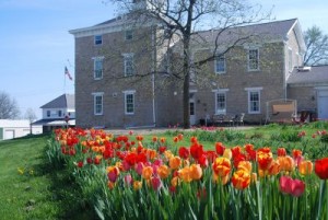 normal Spring 2008 080                  